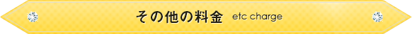 その他の料金